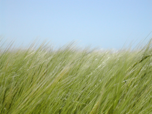 29485 (a): :1600x1200